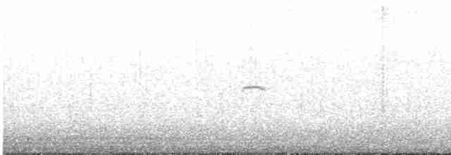 gransanger (tristis) (sibirgransanger) - ML507058701