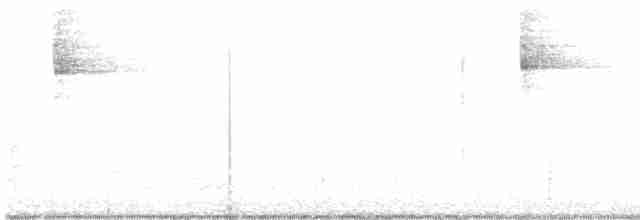 Orange-crowned Warbler - ML507100081
