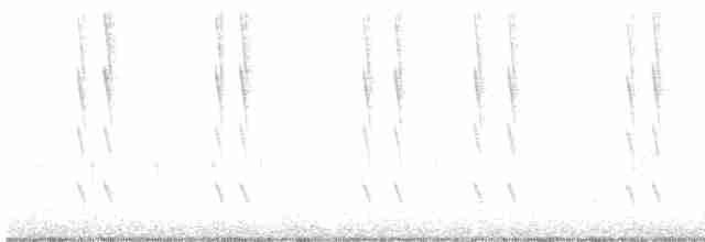 Kara Boğazlı Kolibri - ML507116601