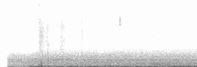 Orange-crowned Warbler - ML507164491