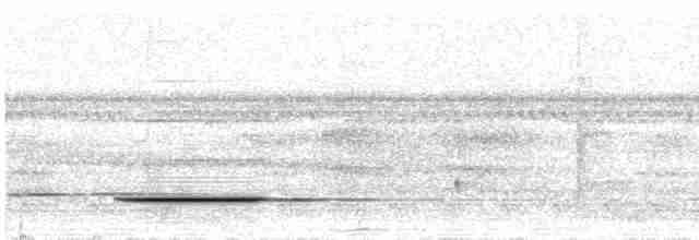 Акрийский тоди-тиранн - ML507196091