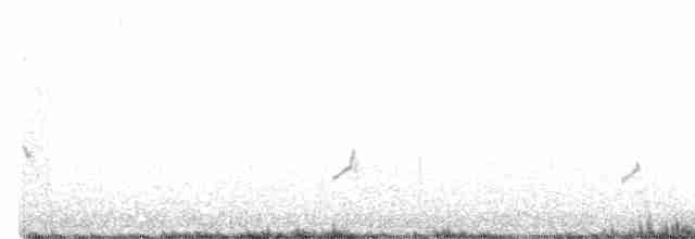 Бурокрылая ржанка - ML507199161