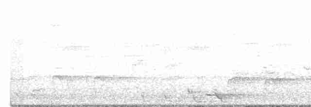 Torresian Kingfisher - ML507285361