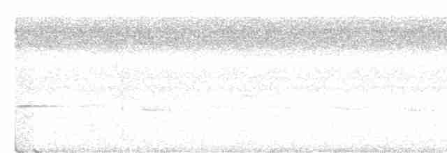 Gray Whistler - ML507297441