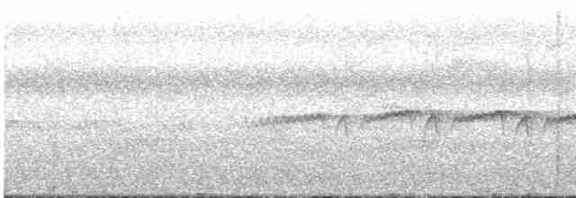 Rotmantel-Ameisenwächter - ML507522141
