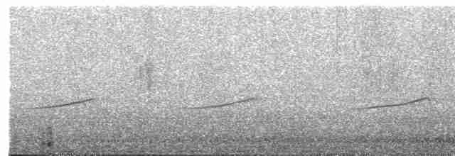 Ak Karınlı Tohumcul - ML507540161
