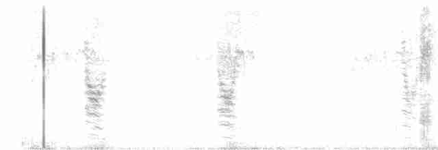 Long-tailed Shrike - ML507685231