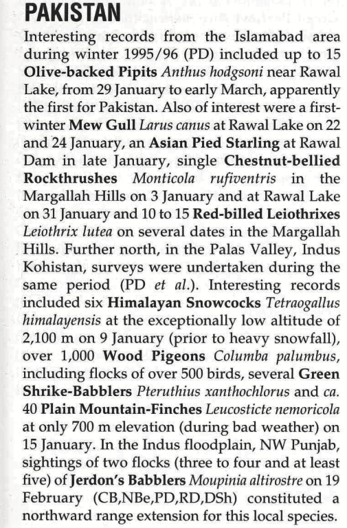 Chestnut-bellied Rock-Thrush - Pakistan Historical  Records