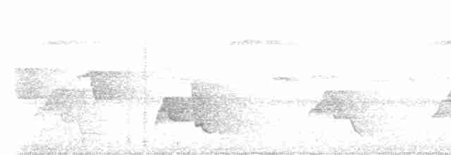 Black-crowned Antshrike - ML507737901