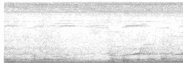 Pale-browed Tinamou - ML507793621