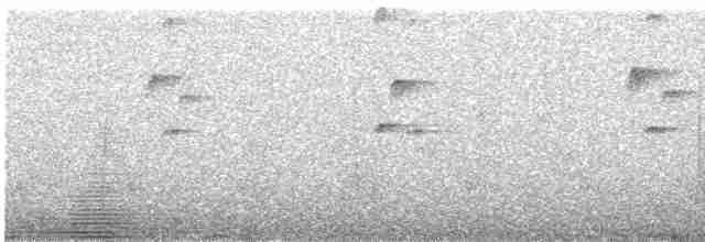 Пестрогрудый тираннчик - ML507797651