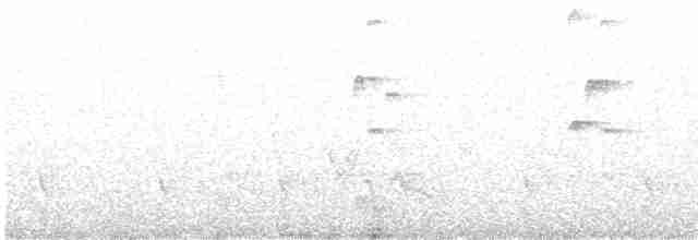 Пестрогрудый тираннчик - ML507797671