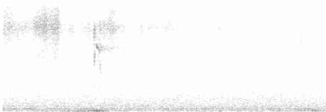 strakapoud americký [skupina harrisi] - ML507932151