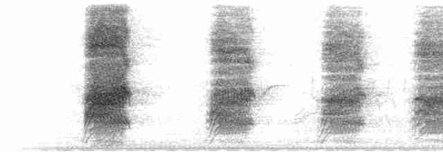ML507950 visualization