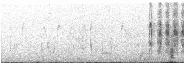 strakapoud hnědokřídlý - ML508009161