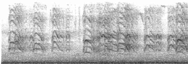 Кратеропа рябогруда - ML508139701