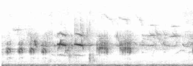 Great Reed Warbler - ML508202691