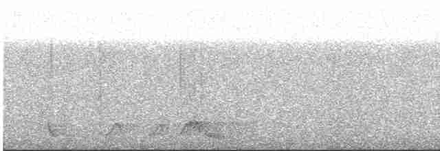Rufous Nightjar - ML508230591