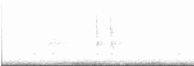 Troglodyte des forêts - ML508251661