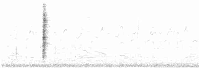 Marsh Wren (plesius Group) - ML508253631