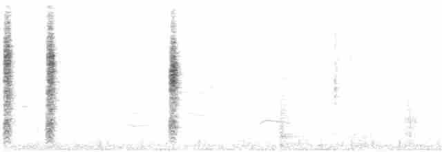 Marsh Wren (plesius Group) - ML508254411