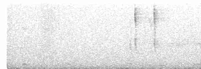 Troglodyte de Baird - ML508350301