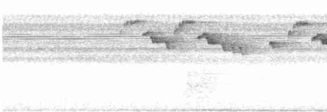 Прямоклювый колибри-отшельник - ML508421321