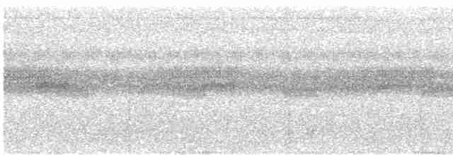 Black-tailed Trogon - ML508671451