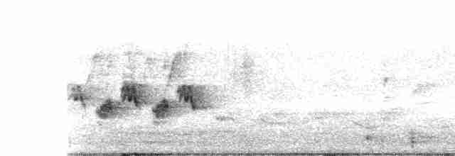 Australian Reed Warbler - ML508674711