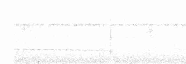 Tüpfelkronen-Ameisenvogel - ML508683281