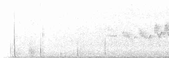 Cerulean Warbler - ML508695071