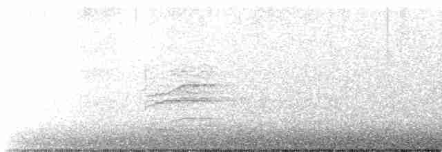 Дрізд-короткодзьоб плямистоволий - ML508716151
