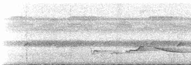 Зернолуск білогорлий - ML508719941