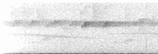 Olivschulter-Ameisenschnäpper - ML508723331