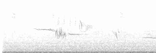Белобровая овсянка (leucophrys/oriantha) - ML508758811