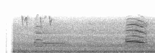 Патагонская чайка - ML508788501