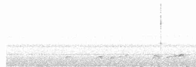 Lyre-tailed Nightjar - ML508832241