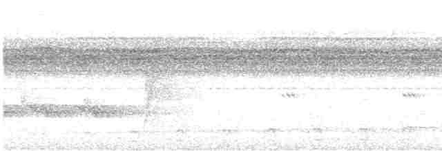 Gray-headed Kite - ML509000161