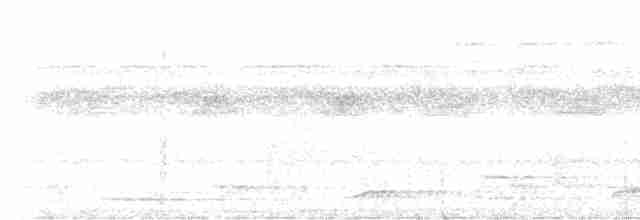 White-throated Tinamou - ML509021031