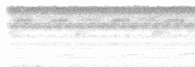 Tinamou de Bartlett - ML509031591