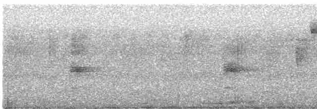 Black-cowled Oriole - ML509122541