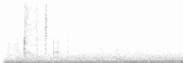 Troglodyte des marais - ML509362391