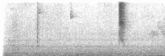 Колібрі-довгохвіст смарагдовий - ML509371121
