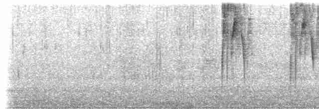 Колібрі-довгохвіст смарагдовий - ML509371131