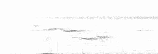 Mangrov Mavi Sinekkapanı [blythi grubu] - ML509373601