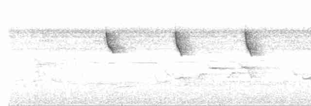Мухолов-клинодзьоб північний - ML509449711