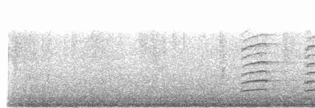 Plate-billed Mountain-Toucan - ML509522141
