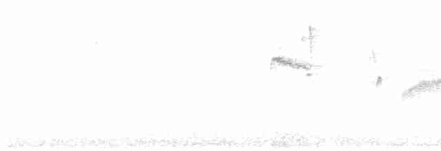 Тиран-карлик амазонійський - ML509524921