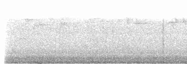 Plate-billed Mountain-Toucan - ML509529691