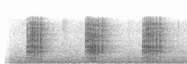 Андигена строкатодзьоба - ML509529721